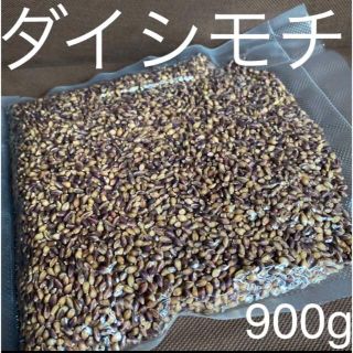 ダイシモチ玄麦　900g(米/穀物)