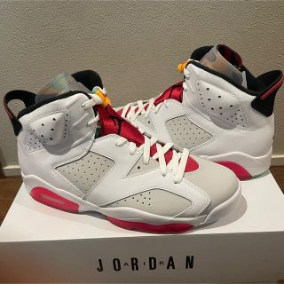 ナイキ(NIKE)のAIR JORDAN 6 Neutral Grey HARE 29(スニーカー)