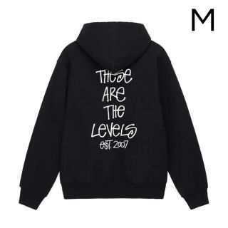 ステューシー(STUSSY)のSTUSSY LEVELS HOODIE Mサイズ(パーカー)