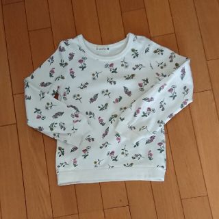 ブランシェス(Branshes)の[3-38]ブランシェス★トレーナー(130cm)(Tシャツ/カットソー)