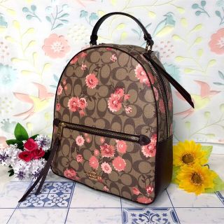 【新品】COACH リュック　バックパック　花柄