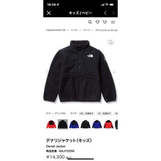 ザノースフェイス(THE NORTH FACE)のノースフェイス　ジュニア　デナリジャケット140cm(ジャケット/コート)