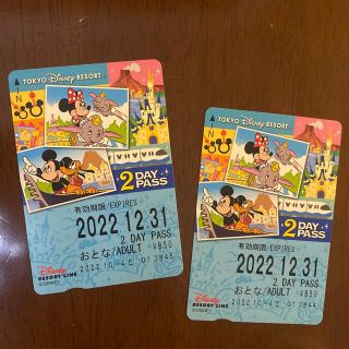 ディズニー(Disney)のDisney RESORT LINE(遊園地/テーマパーク)