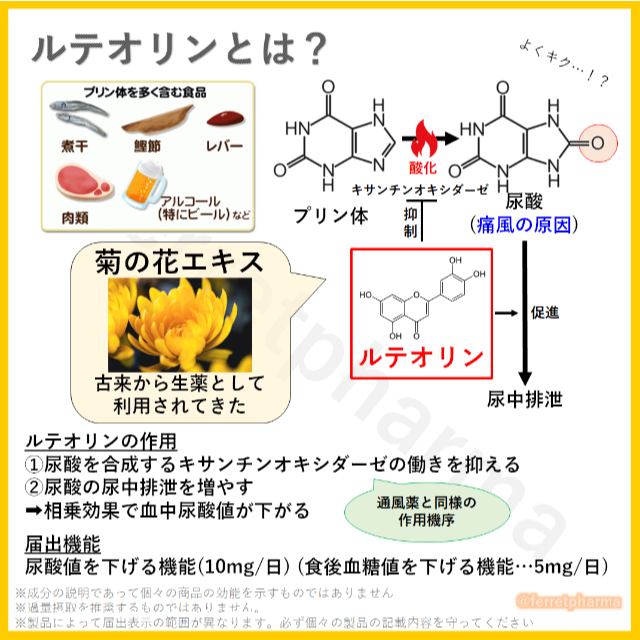 【残りわずか】 AFC ルテオリンGOLD 30日分 3袋