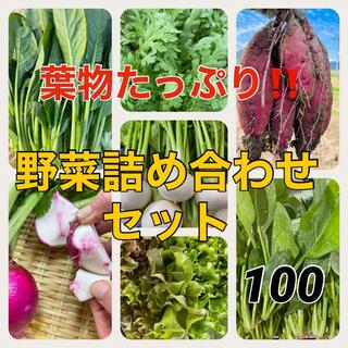 【兵庫県丹波産】旬のお野菜セット‼️(野菜)