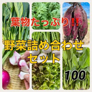 【兵庫県丹波産】旬のお野菜セット‼️(野菜)