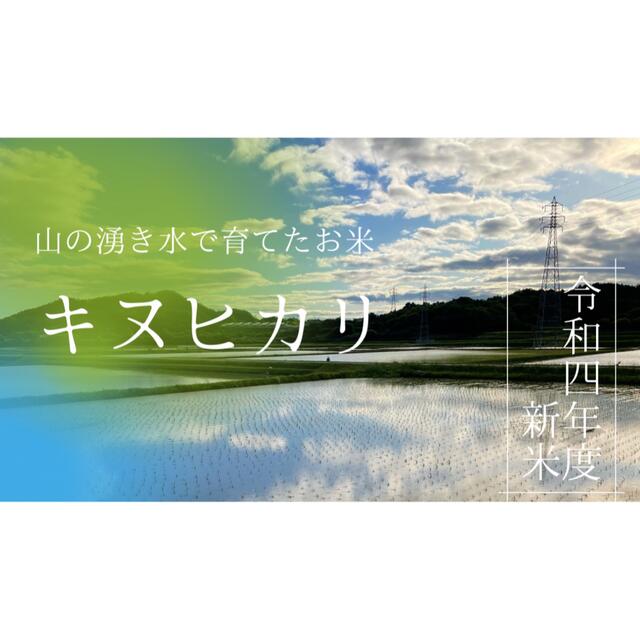 最大59%オフ! 山の湧き水育ちのお米 農家直送 兵庫県産ヒノヒカリ