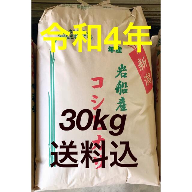 岩船産コシヒカリ】令和4年新米 玄米30kg 送料込 岩船産コシヒカリ】令和4年新米 玄米30kg 送料込