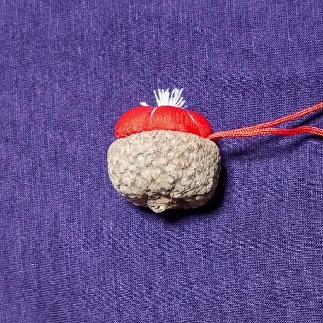 フ   お花の根付け うめ縫い 生地は正絹 紐は綿 ハンドメイドのアクセサリー(キーホルダー/ストラップ)の商品写真