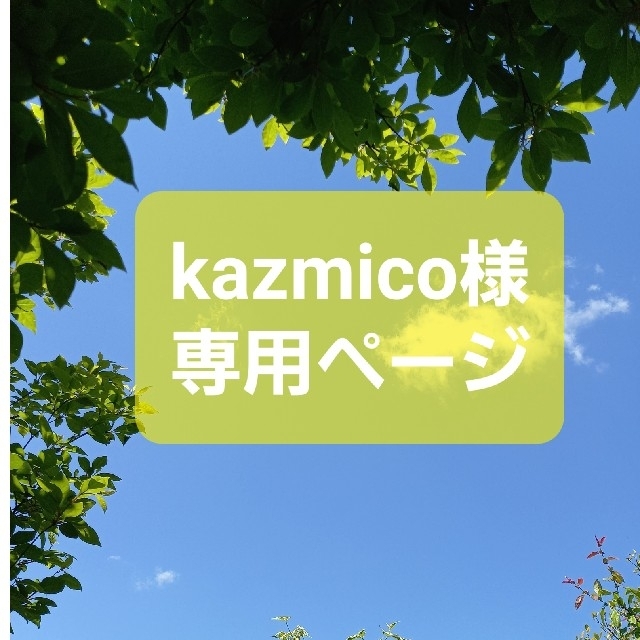 kazmico様専用ページ ハンドメイドのフラワー/ガーデン(その他)の商品写真