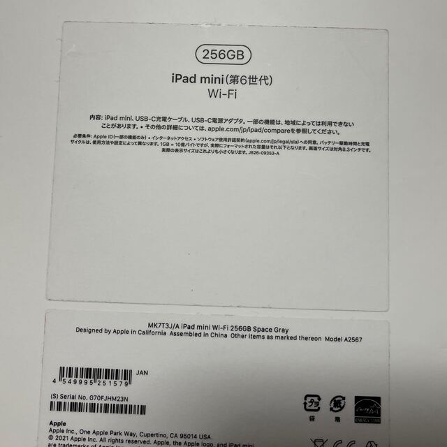 iPad mini 6 256GB Wi-Fi スペースグレイ