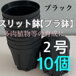 【スリット鉢】プラ鉢直径6cm 2号　10個セット【新品】ブラック(プランター)