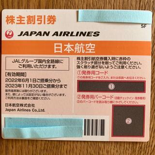 ジャル(ニホンコウクウ)(JAL(日本航空))のJAL 株主優待券　2023.11.30(その他)