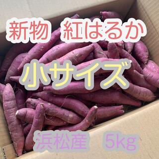 紅はるか さつまいも  小サイズ 静岡県浜松産 小さい 5kg(野菜)