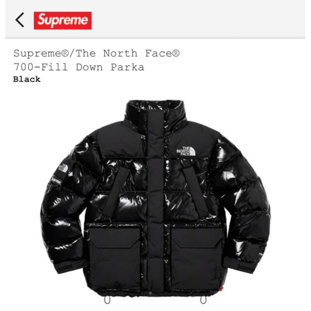 Supreme(シュプリーム)のsupreme the north face 22aw Down Parka メンズのジャケット/アウター(ダウンジャケット)の商品写真