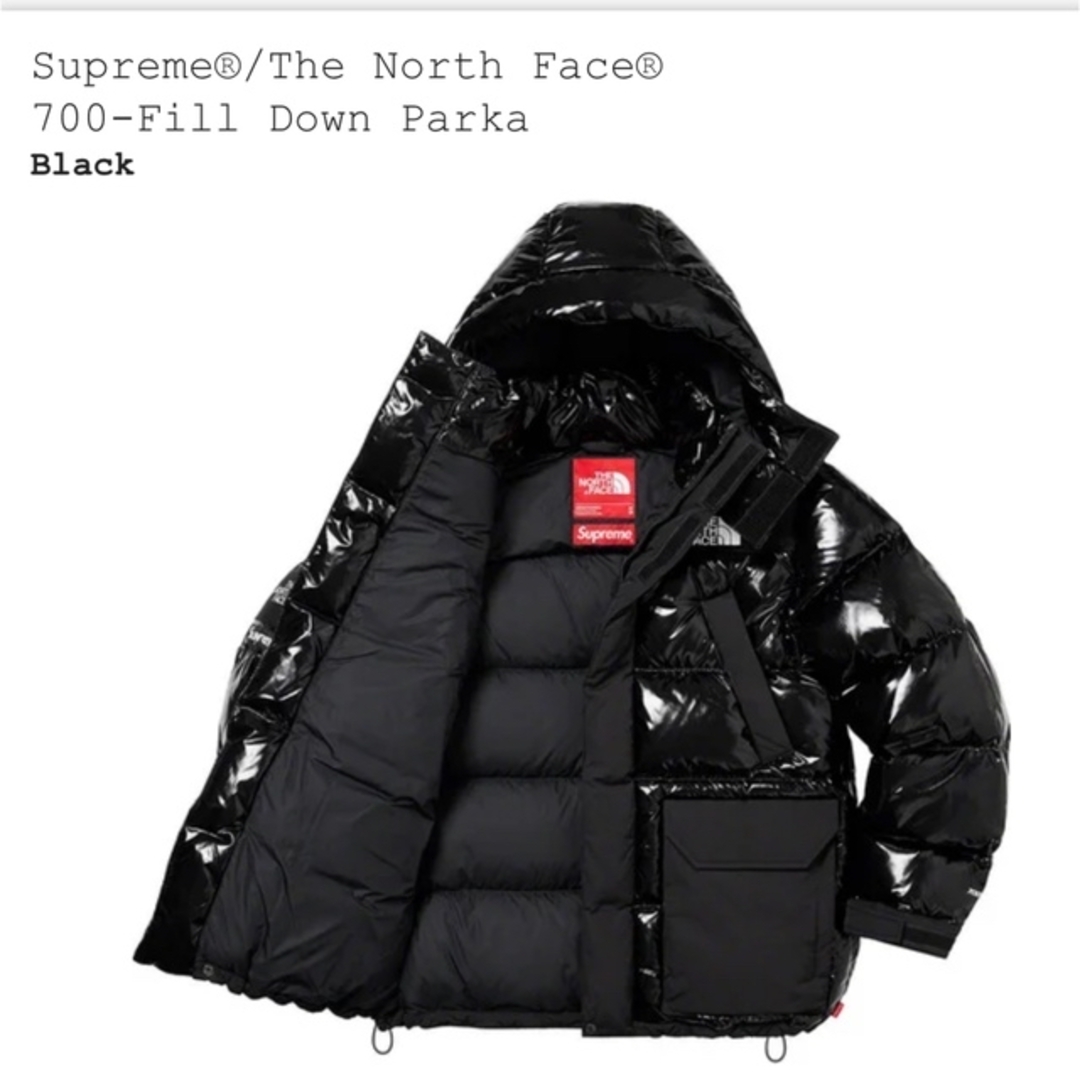 Supreme(シュプリーム)のsupreme the north face 22aw Down Parka メンズのジャケット/アウター(ダウンジャケット)の商品写真