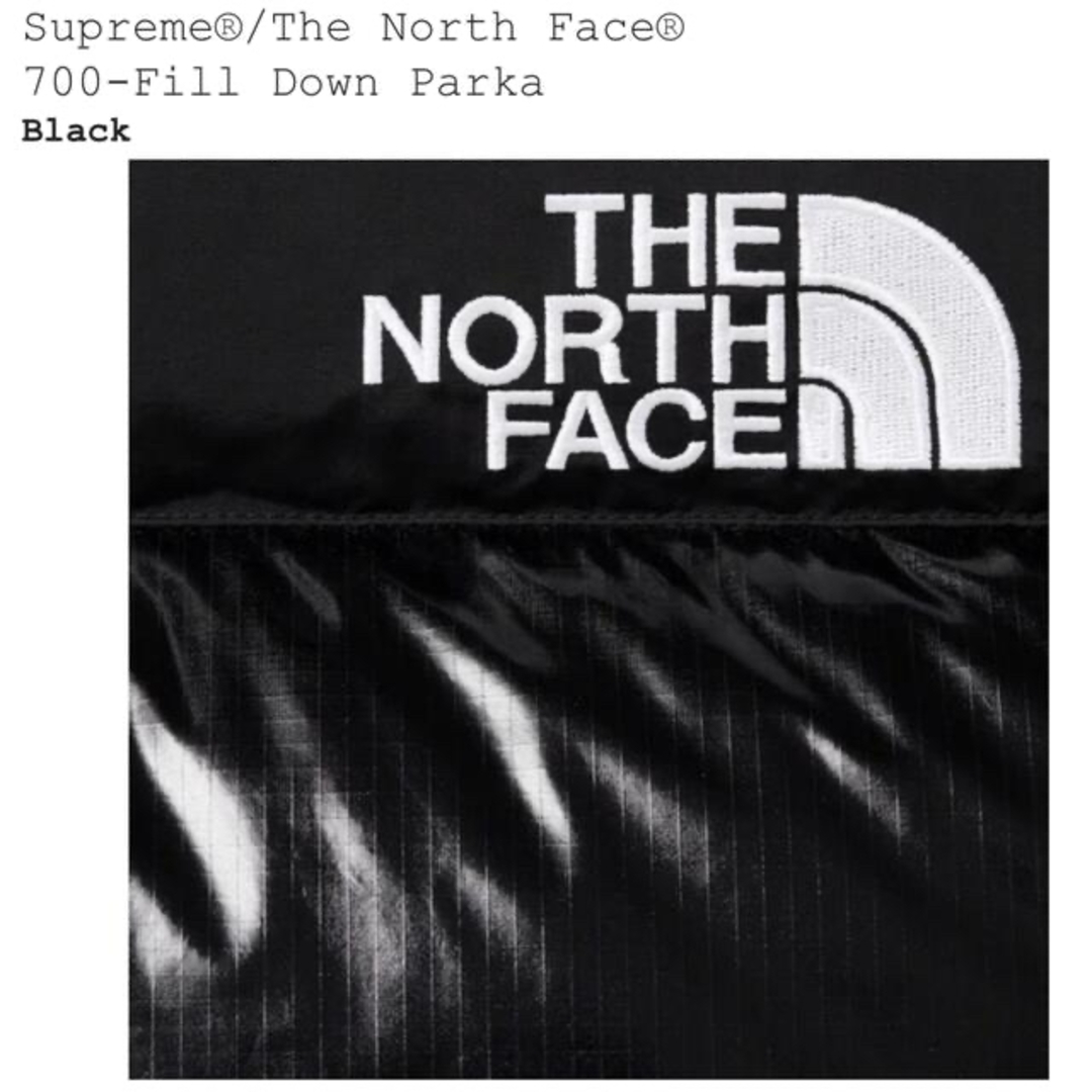 Supreme(シュプリーム)のsupreme the north face 22aw Down Parka メンズのジャケット/アウター(ダウンジャケット)の商品写真