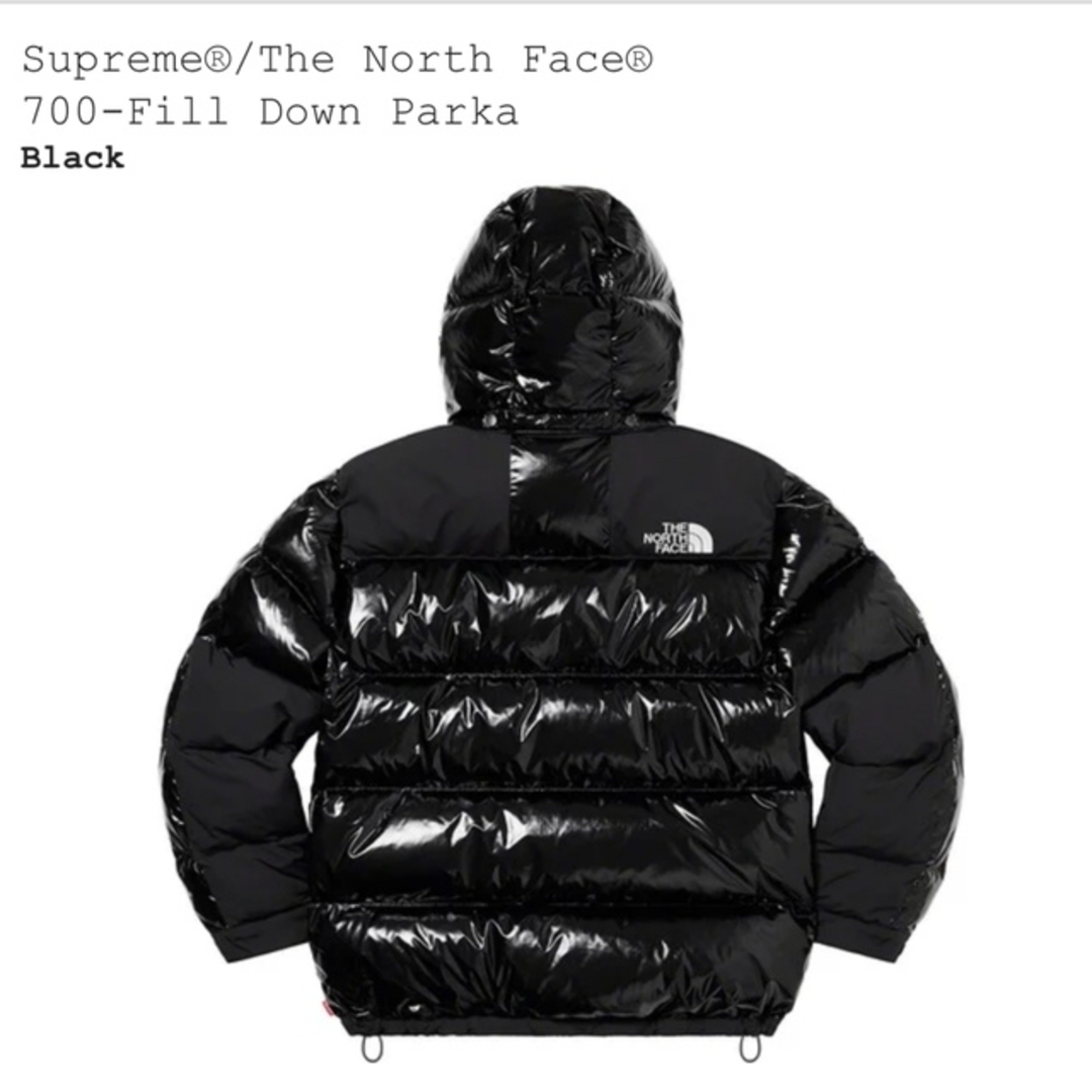 supreme the north face 22aw Down Parka