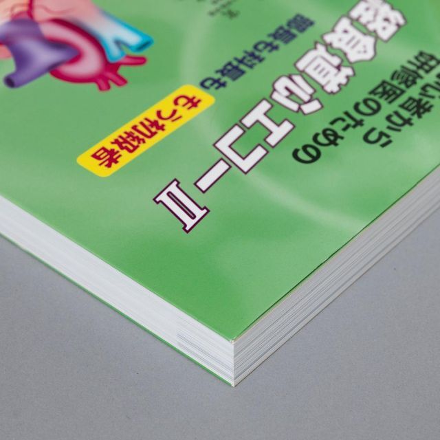 初心者から研修医のための経食道心エコー 2 初心者から研修医のための経食道心エコー 2