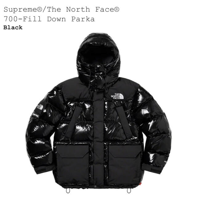 激安直営店 The SUPREME - Supreme North 700-FillDownParka Face