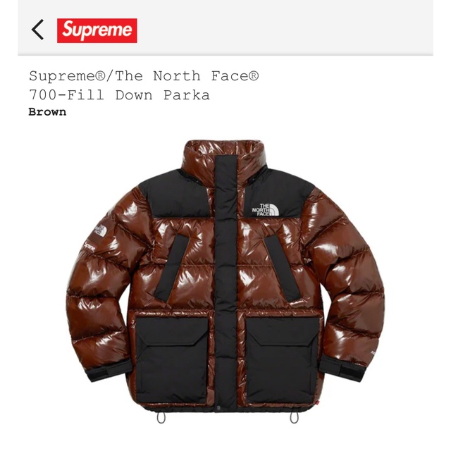 Supreme(シュプリーム)のsupreme north face 22aw down parka メンズのジャケット/アウター(ダウンジャケット)の商品写真