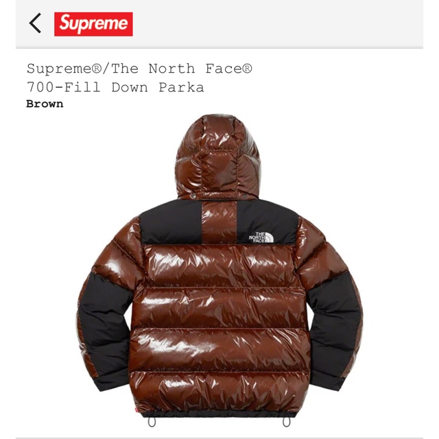 Supreme(シュプリーム)のsupreme north face 22aw down parka メンズのジャケット/アウター(ダウンジャケット)の商品写真