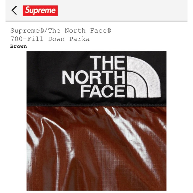 Supreme(シュプリーム)のsupreme north face 22aw down parka メンズのジャケット/アウター(ダウンジャケット)の商品写真