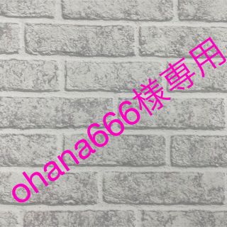 ohana666様専用☆ミニポーチ☆2点(外出用品)