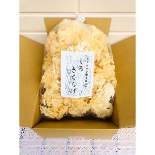 リクエスト出品(どんど様専用 白キクラゲ、白キクラゲパウダー)(その他)