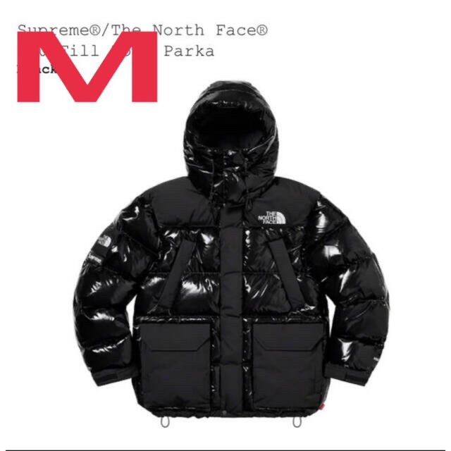 The North Face 700-Fill Down Parka