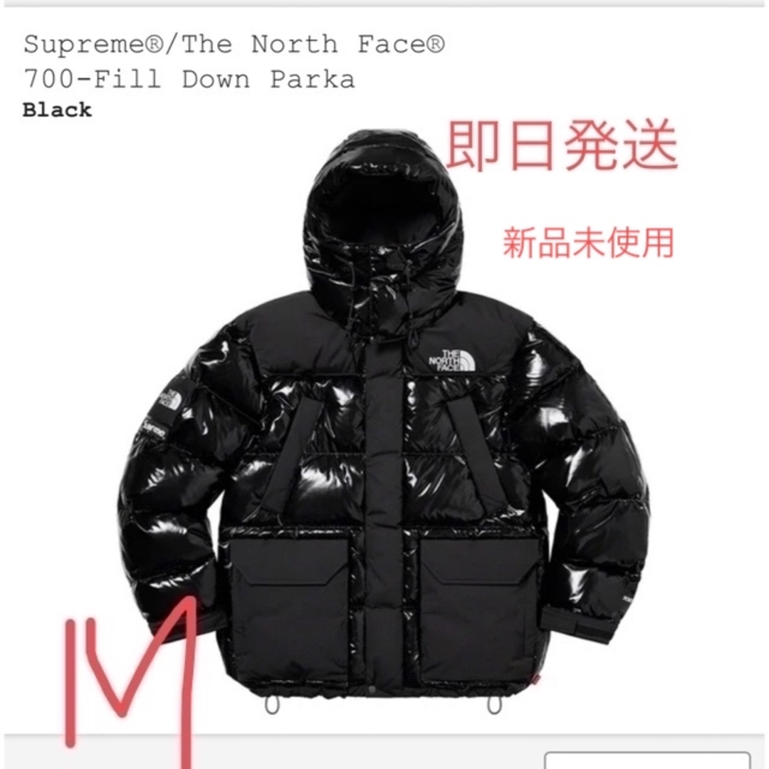 Supreme TNF 700-Fill Down Parka black M