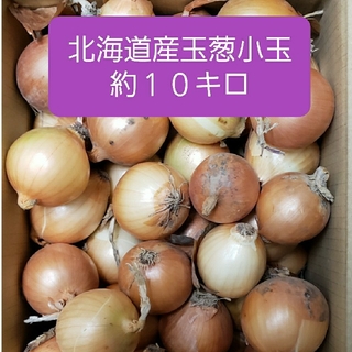 ◆北海道産　玉ねぎ　訳あり品　２S(SS)サイズ小玉　約１０キロ(野菜)