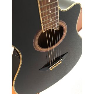 激レア・美品】YAMAHA APX-10TS エレアコ 長渕剛 ヤマハ - 楽器/器材