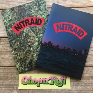 ナイトレイド(nitraid)のnitraid ナイトレイド LOOK BOOK + ステッカー(その他)