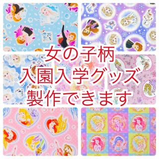 【女の子向け柄】入園入学グッズ　製作できます（キャラクター系）(バッグ/レッスンバッグ)