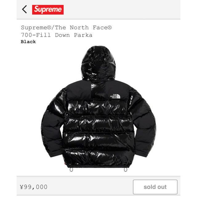 Supreme(シュプリーム)のSupreme North Face 700-Fill Down Parka S メンズのジャケット/アウター(ダウンジャケット)の商品写真