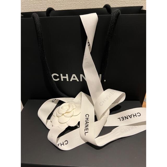 CHANEL(シャネル)のCHANEL シャネル　メガネケース　チェーンウォレット レディースのバッグ(ショルダーバッグ)の商品写真