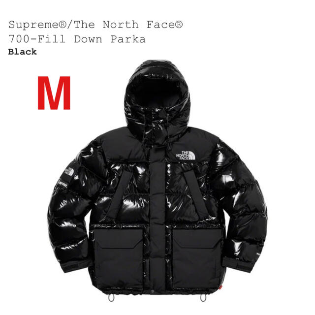 Supreme The North Face 700-Fill Down M