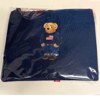 ポロラルフローレン(POLO RALPH LAUREN)のポロベア　ポーチのみ　新品　未使用　ネイビー(ポーチ)