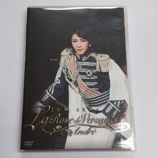 宝塚 ベルサイユのばら ダイジェスト版 DVD エンタメ/ホビーのDVD/ブルーレイ(舞台/ミュージカル)の商品写真