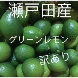 瀬戸田　グリーンレモン   5キロ(フルーツ)