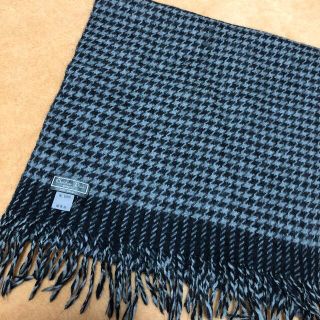 ディオール(Christian Dior) マフラー(メンズ)の通販 22点