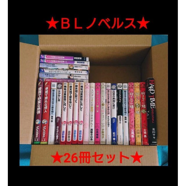 【ＢＬ小説】人気作品まとめ売り　26冊セットボーイズラブ(BL)