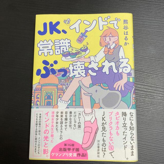 ＪＫ、インドで常識ぶっ壊される エンタメ/ホビーの本(文学/小説)の商品写真