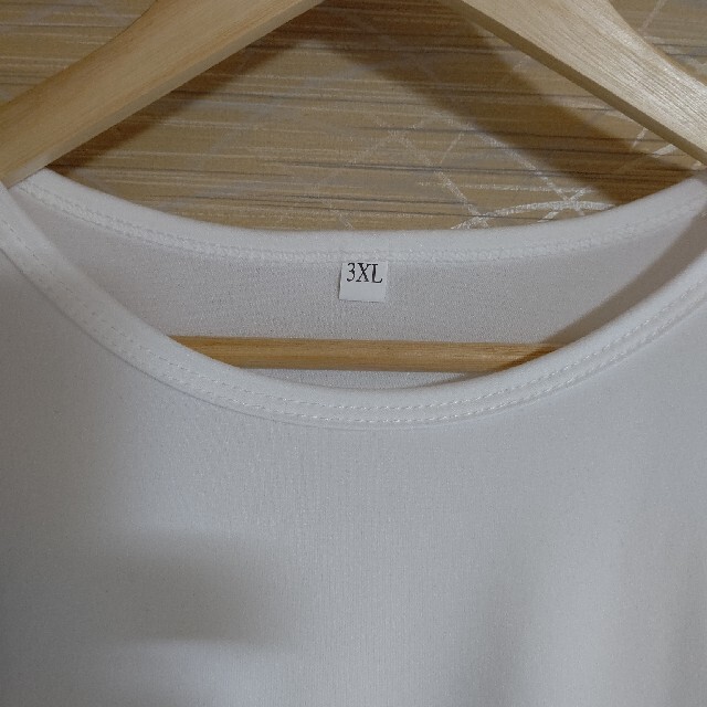 ３ＸＬ レディースのトップス(Tシャツ(半袖/袖なし))の商品写真