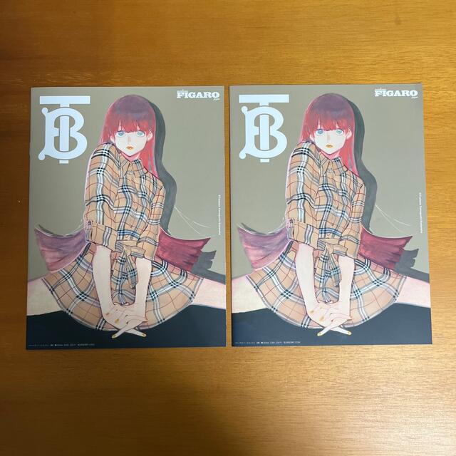 BURBERRY(バーバリー)のバーバリー ブルーピリオド ブックレット エンタメ/ホビーの漫画(その他)の商品写真