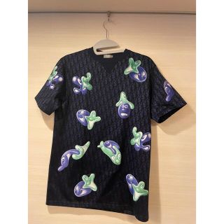 ディオール(Dior)のDiorメンズTシャツ(新品未使用)定価19万(Tシャツ/カットソー(七分/長袖))