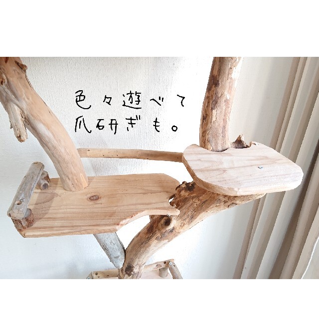 最高 流木キャットタワー 森の宿 No.220 ienomat.com.br