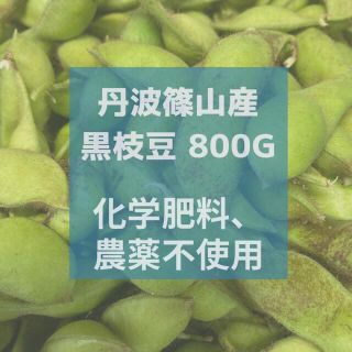 丹波篠山産 黒枝豆 さやのみ 800g 化学肥料、農薬不使用(野菜)