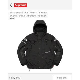 シュプリーム(Supreme)のSupreme The North Face シュプリーム　ノースフェイス　新品(マウンテンパーカー)